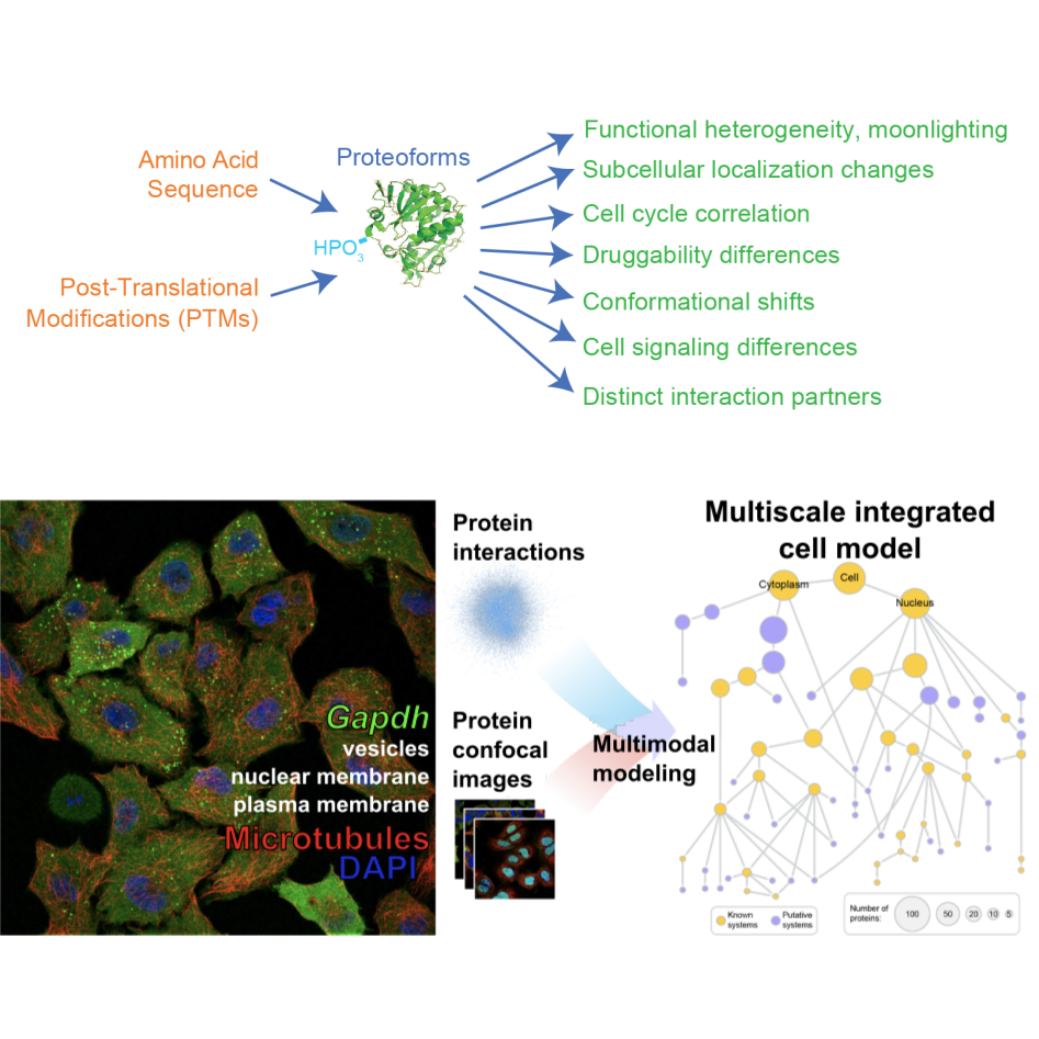 Conceptual image of future research.